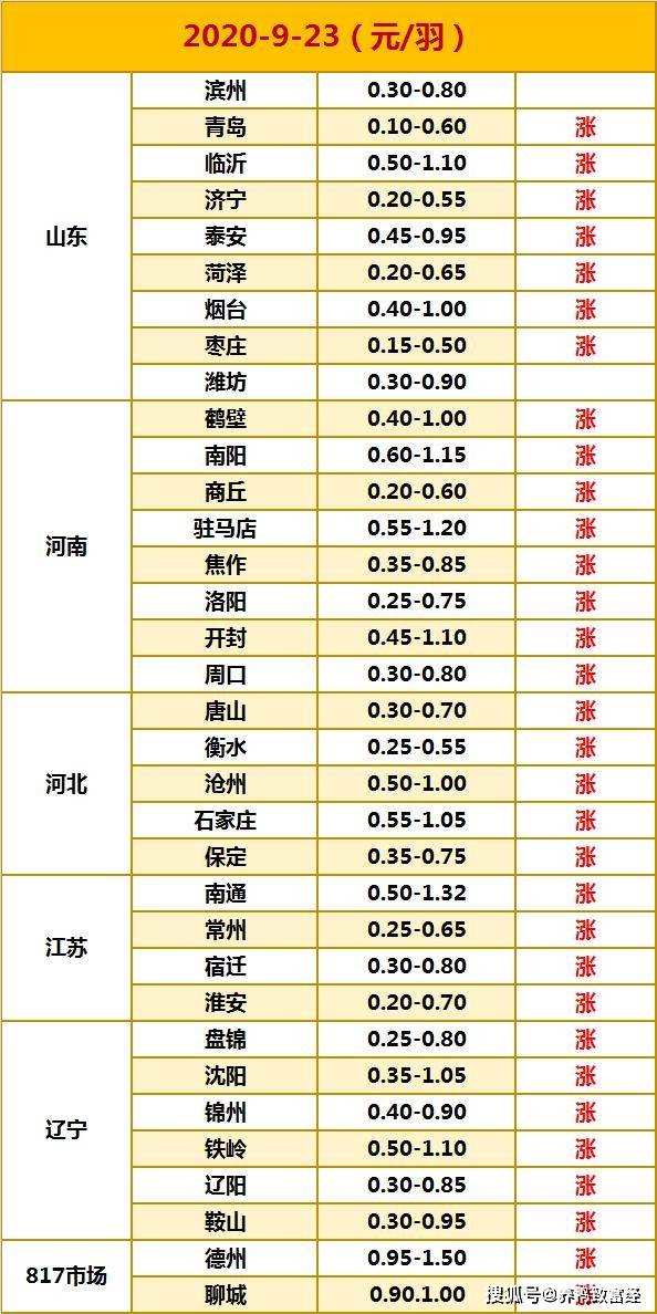 钼市今日行情速览