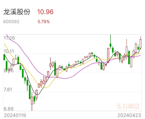 龙溪股份最新资讯发布