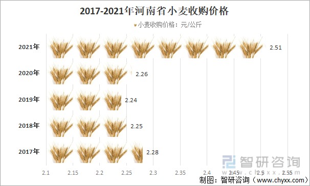 最新小麦市场价格动态