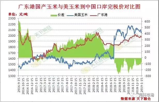 玉米市场最新行情与未来趋势展望