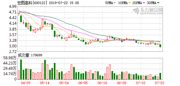 宏图高科最新资讯发布