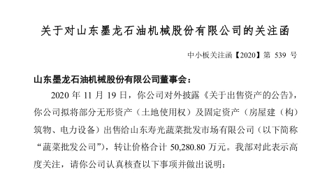 山东墨龙公司最新动态揭晓：详尽公告解读来袭！