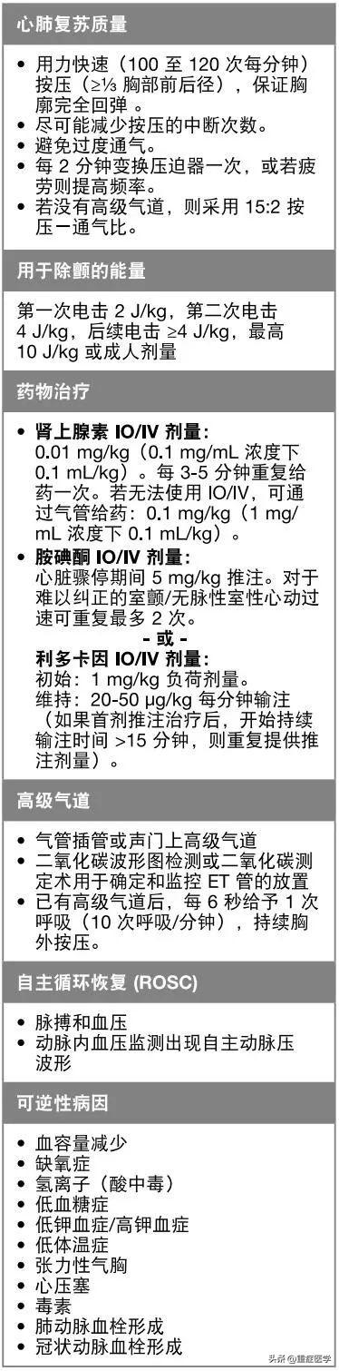 2025版心肺复苏指南全新修订解析