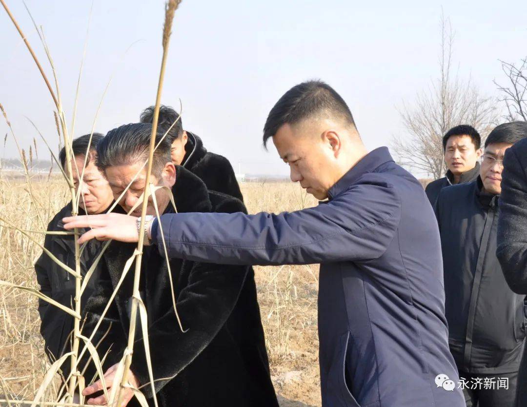 樊西张营最新动态一览