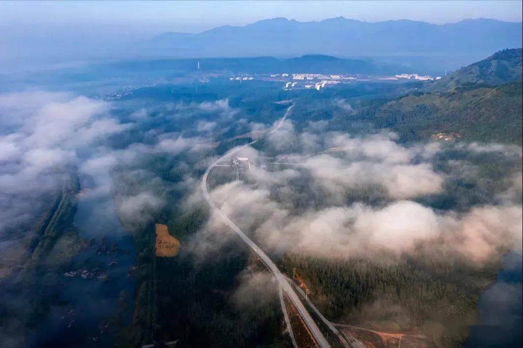 浦城实时新闻报道，最新动态直播速递